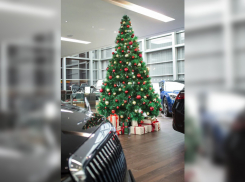 В Новый год без забот! Компания Fresh Auto поздравляет всех с Новым годом!