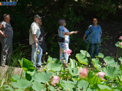Гигантским наплывом туристов похвасталась Волгоградская область 