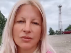 «Придется нести животных под наркозом на плечах»: дорожники заблокировали съезд к приюту под Волгоградом 