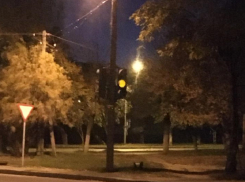 Виновником смертельного ДТП с двумя полицейскими в Волгограде оказался водитель трамвая