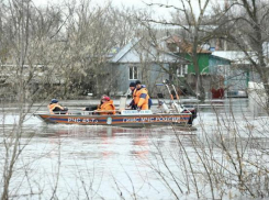 Чиновники сообщили о прохождении пика паводка в Волгоградской области