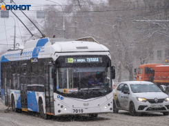 Минтранс не одобрил разрушение троллейбусов в Волгограде