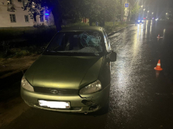 Маму с маленькими детьми сбили на переходе в Камышине 
