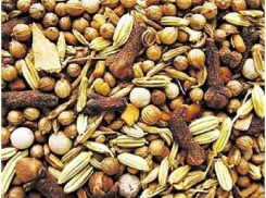 В регионе обнаружена несертифицированная пшеница