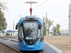 Запуск новых трамваев и открытие СТ: важные объявления сделали для волгоградцев