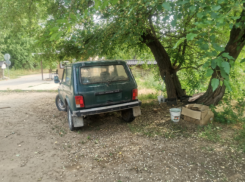 Волгоградские чиновники объяснились за платную стоянку в пойме у ерика Верблюд 