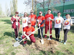 Волжские пивовары вышли на субботник