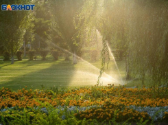 МЧС выдало экстренное предупреждение по Волгоградской области