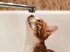 Без горячей воды и отопления сидят жители юга Волгограда