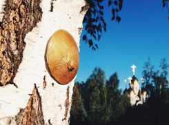 Волгоградцы в соцсетях обсуждают золотую грудь на Мамаевом кургане