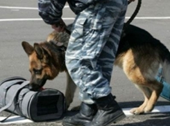 Вокзал Волгограда был оцеплен из-за подозрительной сумки