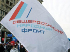 Волгоградское отделение ОНФ на грани репутационного скандала