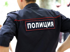 Волгоградские полицейские обеспечивали правопорядок на 8000 массовых мероприятий 