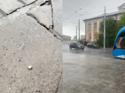 «Беда для всего сада»: майский град обрушился на Волгоград