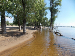 В Волгограде 43-летняя женщина пыталась попить воды из Волги и утонула