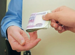 Владелец пяти волгоградских фирм оштрафован на 500 тысяч за дачу взятки ветврачу