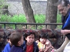В Волгограде прогремел взрыв в доме, где на 7-летнюю девочку рухнул потолок