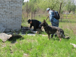 Названа причина смерти троих мужчин на даче в Камышине