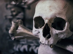 Череп мужчины нашли у дач под Камышином