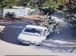 Волжское СНТ просит защитить их от серых возчиков