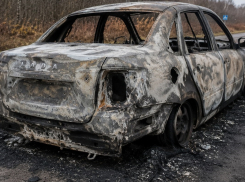 Мужчина заживо сгорел в Lada Granta под Волгоградом
