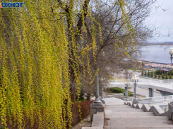 Дожди испортят еще одну неделю апреля волгоградцам: синоптики