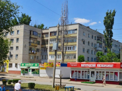 В мэрии объяснили смерть волгоградки под упавшим деревом