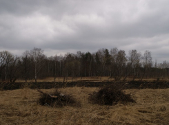 Фермер нашел человеческие останки в поле под Волгоградом