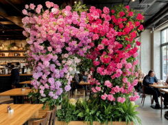 Дерзкий грабитель поплатился за любовь к прекрасному в волжском кафе