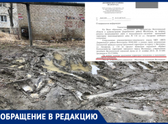 «В надлежащем состоянии»: Блошкин положительно оценил двор, который больше похож на послевоенный Сталинград