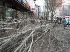 МЧС предупредило о сильном ветре в Волгоградской области