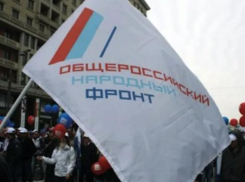 Волгоградский ОНФ предпримет очередную попытку омоложения 
