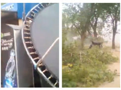 Апокалипсис под Волгоградом: разнесшая кафе буря попала на видео