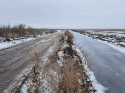 Под Волгоградом фекальные стоки затопили распаханные поля 