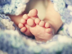 Две двойни появились за сутки в одном роддоме Волгограда