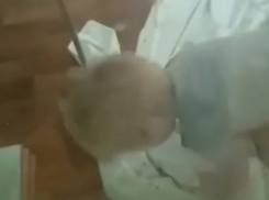 Один с фекалиями: в Волгограде двухлетнего мальчика бросили в больнице