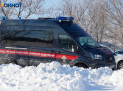 Волгоградец убил двух человек ходунками и 52 ударами ножа