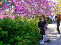 Молодежный сквер и аналог московского «Депо»: новые точки роста наметили в Волгограде