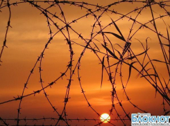 Начальника одной из волгоградских колоний уволили за взятки