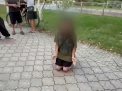 Школьный беспредел со стоящей на коленях девочкой проверит волгоградская прокуратура