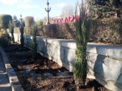 ﻿Теплая погода позволила посадить в Волгограде больше деревьев