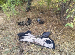 На прогулке насмерть замерз 52-летний житель хутора Гуляевский 