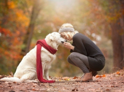 Выходные начались в Волгограде с пасмурной, но теплой погоды