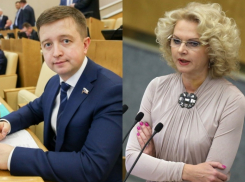 Федеральные власти готовятся проверить волгоградское здравоохранение по требованию депутата Госдумы от ЛДПР