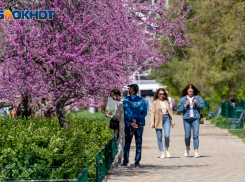 Прогноз погоды на 3 мая в Волгоградской области: до +18