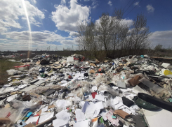Под Волгоградом мусор из закрывшейся «Карусели» вывалили в пойму