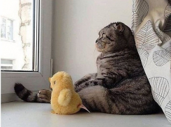 Волгоградская область замерла в ожидании обещанных дождей