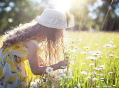 Лето в разгаре: в Волгоградской области ожидается жара до +36º