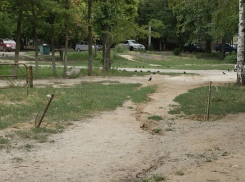 В Волгограде чиновники уничтожили новый парк из-за «амнезии»
