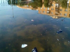 Некогда красивый волгоградский фонтан превратился в болото и мусорку